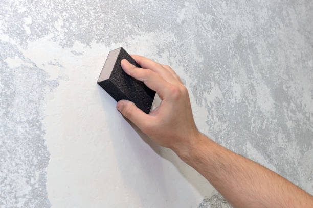 Best Air Quality Testing for Mold Spores  in Spring Hill, FL