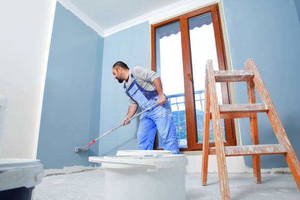 Trusted Spring Hill, FL Mold Removal Experts
