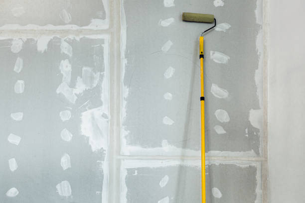 Best Industrial Mold Remediation  in Spring Hill, FL