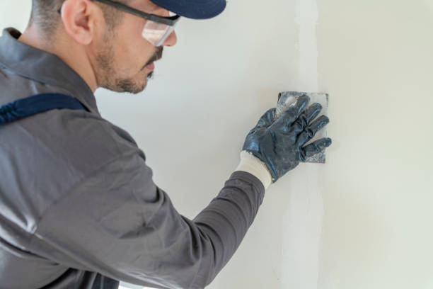 Best Crawl Space Mold Remediation  in Spring Hill, FL