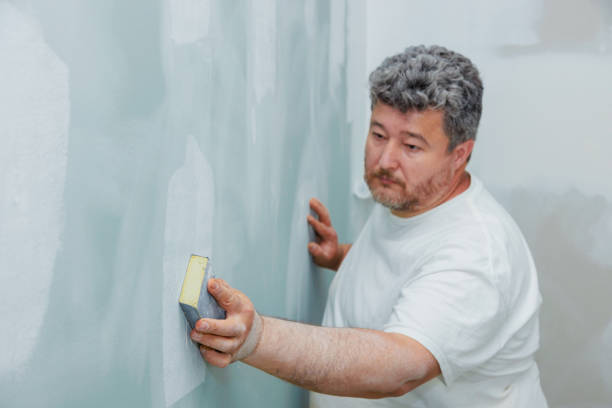 Best Environmental Consulting for Mold Prevention  in Spring Hill, FL
