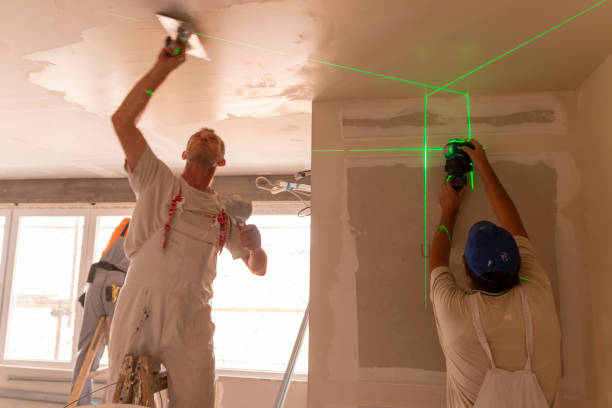 Best Mold Damage Restoration  in Spring Hill, FL