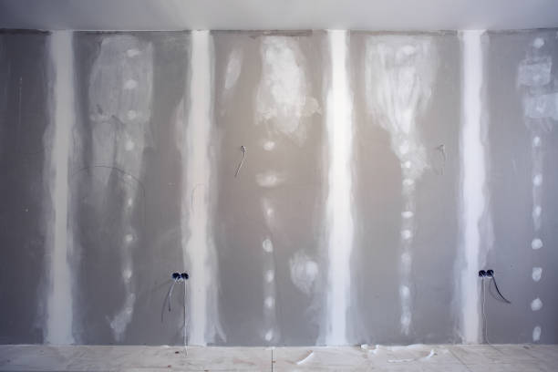 Best Post-Construction Mold Inspection  in Spring Hill, FL